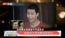 主持人凌晨爆料视频大全,揭秘娱乐圈幕后真相